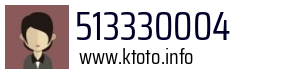 513330004