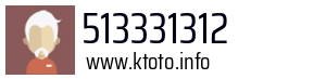 513331312