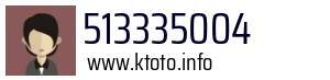 513335004
