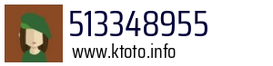 513348955