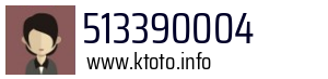 513390004