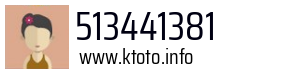 513441381