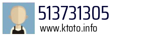 513731305