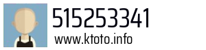 515253341