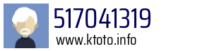 517041319
