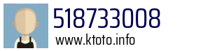 518733008