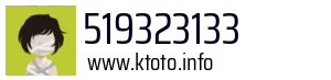 519323133