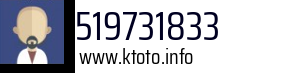 519731833
