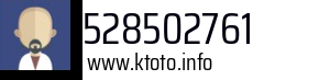 528502761