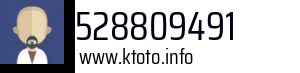 528809491