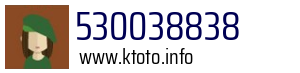530038838