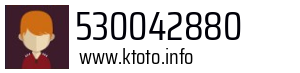 530042880