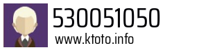 530051050