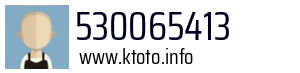 530065413