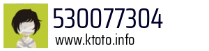 530077304