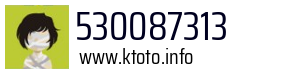 530087313