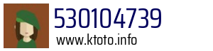 530104739