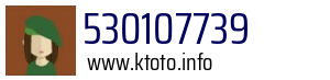 530107739