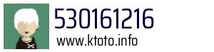530161216