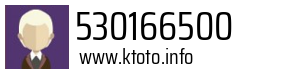 530166500