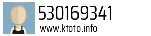 530169341