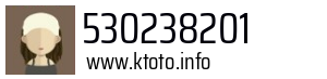 530238201