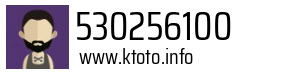530256100