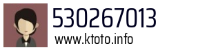 530267013