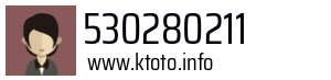 530280211
