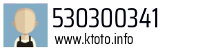 530300341