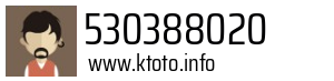 530388020