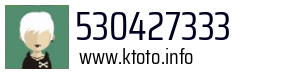 530427333