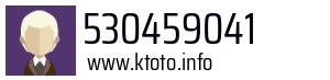 530459041