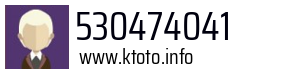 530474041