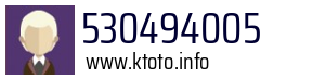530494005