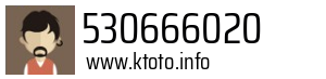 530666020