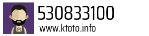 530833100
