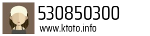 530850300