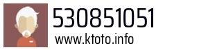 530851051