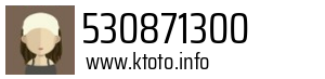 530871300