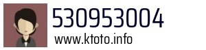 530953004