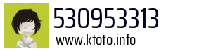 530953313