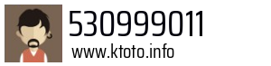 530999011