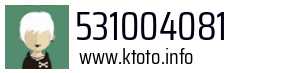 531004081
