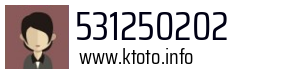 531250202