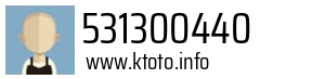 531300440