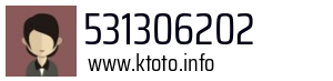 531306202