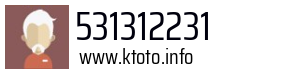 531312231