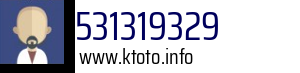 531319329