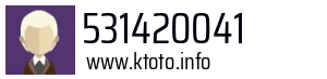 531420041
